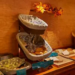 Hotel Lapland Kuopio