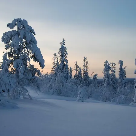Lapland 4*
